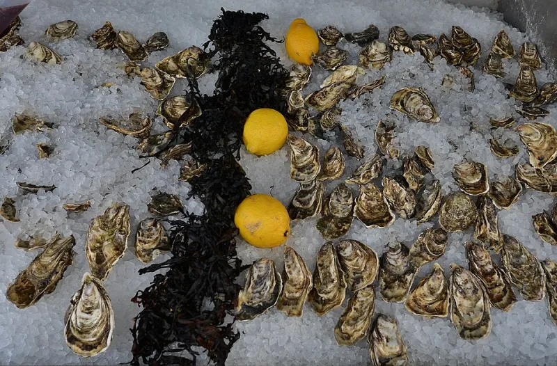 Water, Salt, and Time: The Elemental Forces That Define Harris Creek Oyster Flavor
